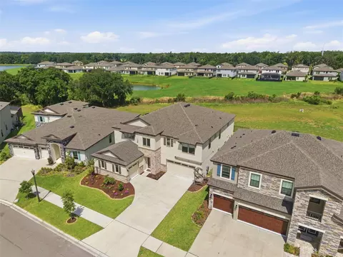 View/Area - 12962 Steed Trace Loop, Lithia, FL 33547 photo 3 of 7