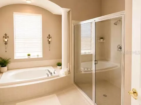 Bath - 2021 Blue Beech Ct, Trinity, FL 34655 photo 1 of 1