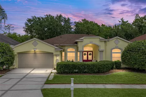 1808 Tangledvine Dr, Wesley Chapel, FL 33543