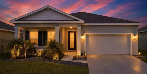18217 Falling Pine Needle Ln, Land O Lakes, FL 34638