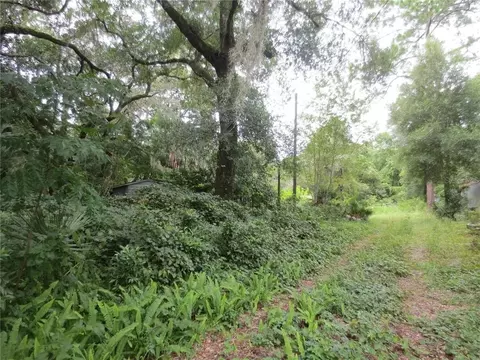 16865 SE 3rd Pl, Silver Springs, FL 34488