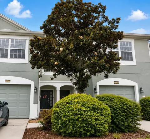 10137 Pink Palmata Ct, Riverview, FL 33578