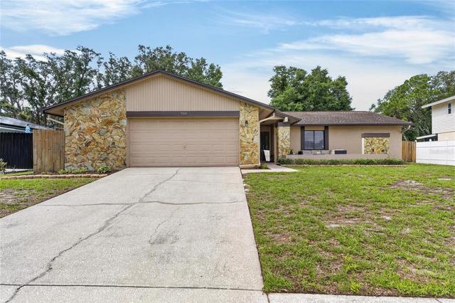 703 Isleton Dr, Brandon, FL 33511