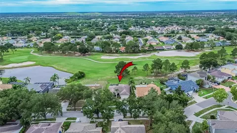 View/Area - 11203 Longbrooke Dr, Riverview, FL 33579 photo 2 of 5