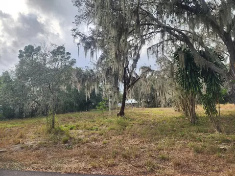 1409 Wilkinson Dr, Plant City, FL 33566