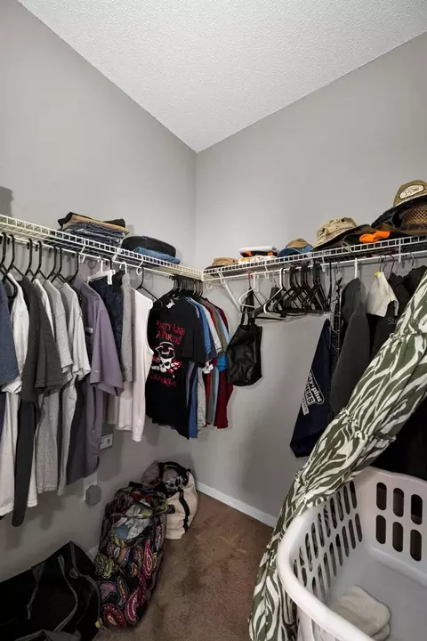 Other - 1821 Alvara Pl, Trinity, FL 34655 photo 3 of 19