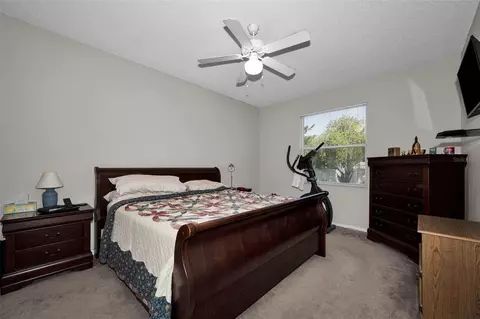 Bedroom - 1821 Alvara Pl, Trinity, FL 34655 photo 2 of 5