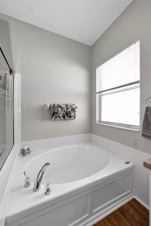 Bath - 1821 Alvara Pl, Trinity, FL 34655 photo 1 of 3