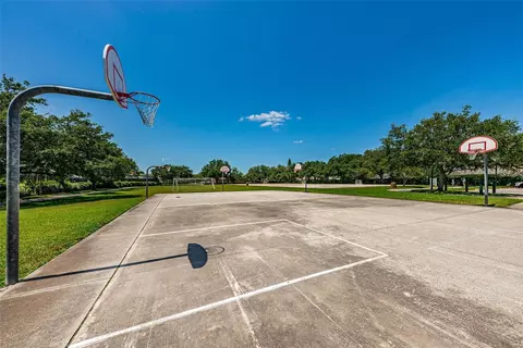 Other - 1821 Alvara Pl, Trinity, FL 34655 photo 13 of 19