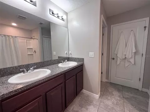 Bath - 405 Serenity Mill Loop, Ruskin, FL 33570 photo 2 of 4