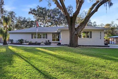 30424 Hillside Ln, Wesley Chapel, FL 33545