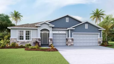 32337 Conchshell Sail St, Wesley Chapel, FL 33545