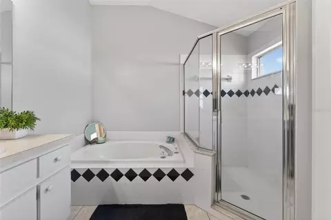 Bath - 418 Henderson Ave, Seffner, FL 33584 photo 6 of 10