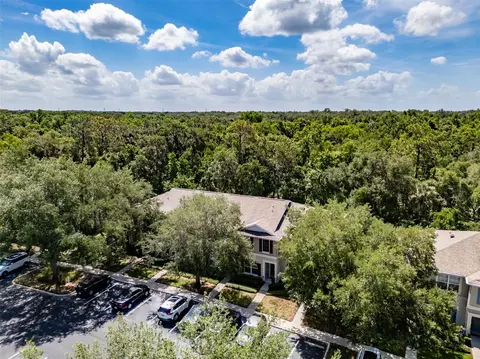 View/Area - 15911 Fishhawk View Dr, Lithia, FL 33547 photo 2 of 5