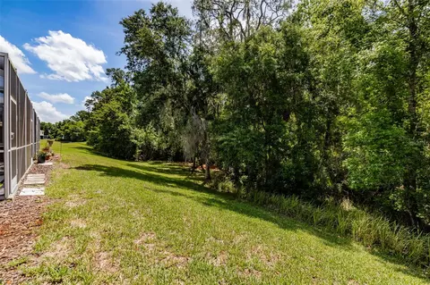 Exterior - 15911 Fishhawk View Dr, Lithia, FL 33547 photo 6 of 13