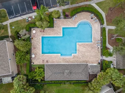 View/Area - 15911 Fishhawk View Dr, Lithia, FL 33547 photo 5 of 5
