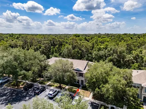 View/Area - 15911 Fishhawk View Dr, Lithia, FL 33547 photo 1 of 5