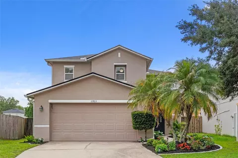 11913 Mango Groves Blvd, Seffner, FL 33584