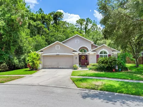 12502 Blazing Star Dr, Tampa, FL 33626