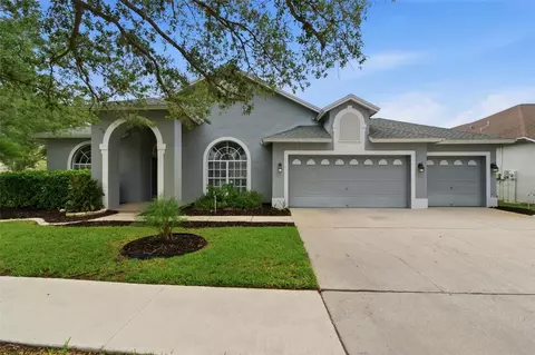19348 Wind Dancer St, Lutz, FL 33558