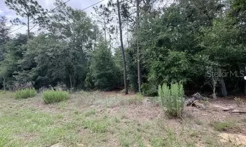 3223 E Scofield St, Inverness, FL 34453