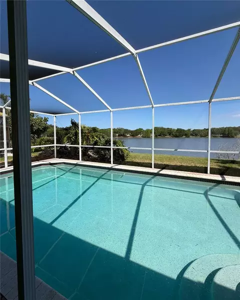 11503 Whispering Hollow Dr, Tampa, FL 33635