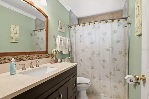 Bath - 384 Wingate Cir, Oldsmar, FL 34677 photo 4 of 4