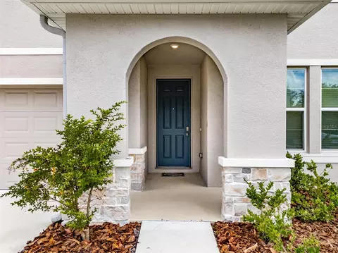 Other - 13090 Brookside Moss Dr, Riverview, FL 33579 photo 1 of 11