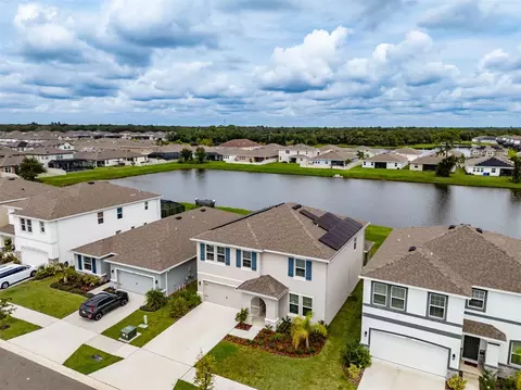 View/Area - 13090 Brookside Moss Dr, Riverview, FL 33579 photo 2 of 9