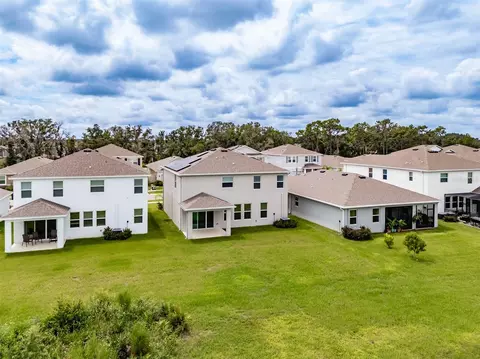 View/Area - 13090 Brookside Moss Dr, Riverview, FL 33579 photo 6 of 9