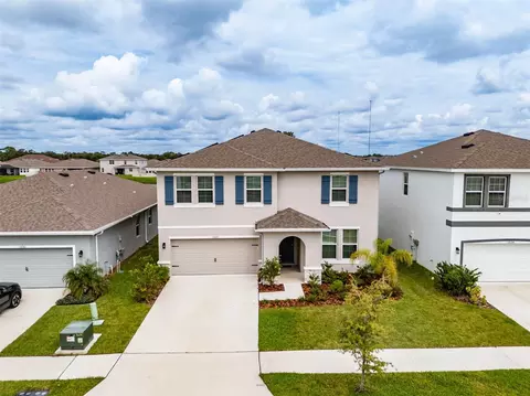 View/Area - 13090 Brookside Moss Dr, Riverview, FL 33579 photo 4 of 9