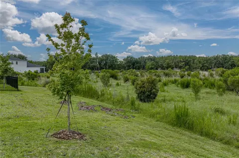 Exterior - 12253 Cattleside Dr, Riverview, FL 33579 photo 11 of 13