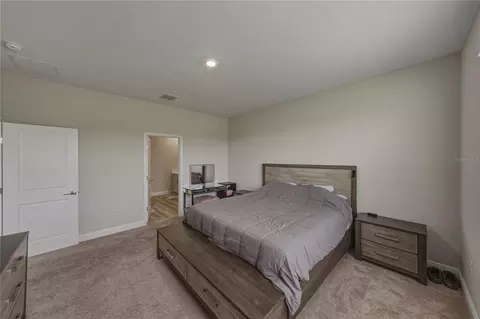 Bedroom - 12253 Cattleside Dr, Riverview, FL 33579 photo 6 of 6