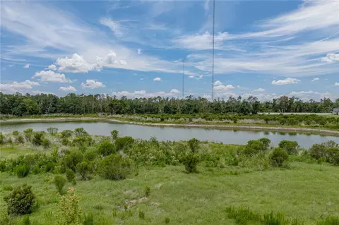 View/Area - 12253 Cattleside Dr, Riverview, FL 33579 photo 6 of 11