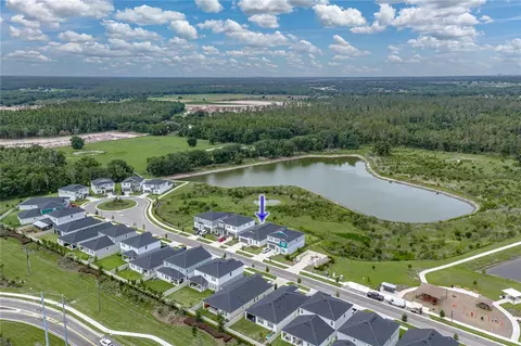 View/Area - 12253 Cattleside Dr, Riverview, FL 33579 photo 4 of 11