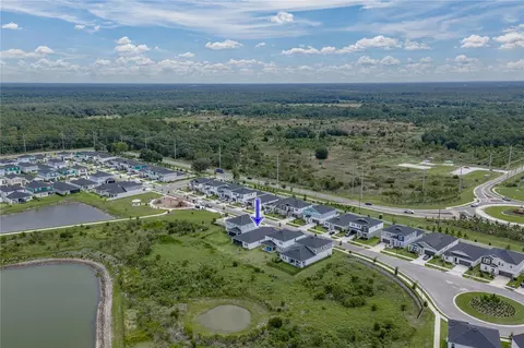 View/Area - 12253 Cattleside Dr, Riverview, FL 33579 photo 5 of 11