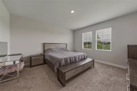 Bedroom - 12253 Cattleside Dr, Riverview, FL 33579 photo 5 of 6