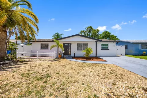 1036 Viking Dr, Holiday, FL 34691
