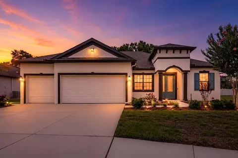 11026 Brahman Ranch Cir, Riverview, FL 33578