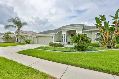 7521 Melogold Cir, Land O Lakes, FL 34637
