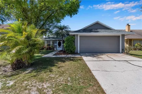 7110 Hollowell Dr, Tampa, FL 33634
