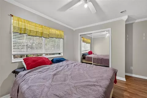 Bedroom - 10818 Brickside Ct, Riverview, FL 33579 photo 9 of 9