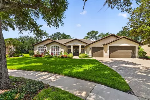 17804 Ridgeway Ct, Tampa, FL 33647