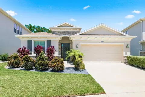 8036 Praise Dr, Tampa, FL 33625