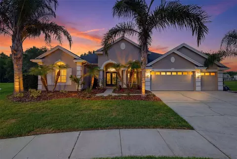26641 Winged Elm Dr, Wesley Chapel, FL 33544