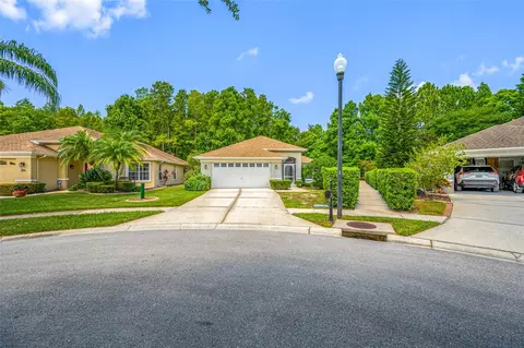 Exterior - 7740 Craighurst Loop, Trinity, FL 34655 photo 10 of 10