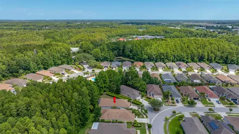 View/Area - 7740 Craighurst Loop, Trinity, FL 34655 photo 6 of 24