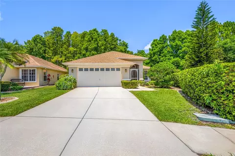 Exterior - 7740 Craighurst Loop, Trinity, FL 34655 photo 4 of 10