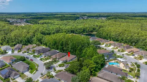 View/Area - 7740 Craighurst Loop, Trinity, FL 34655 photo 9 of 24