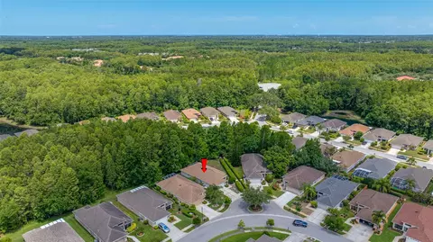 View/Area - 7740 Craighurst Loop, Trinity, FL 34655 photo 7 of 24